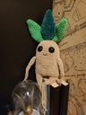 Pattern Mandragora
