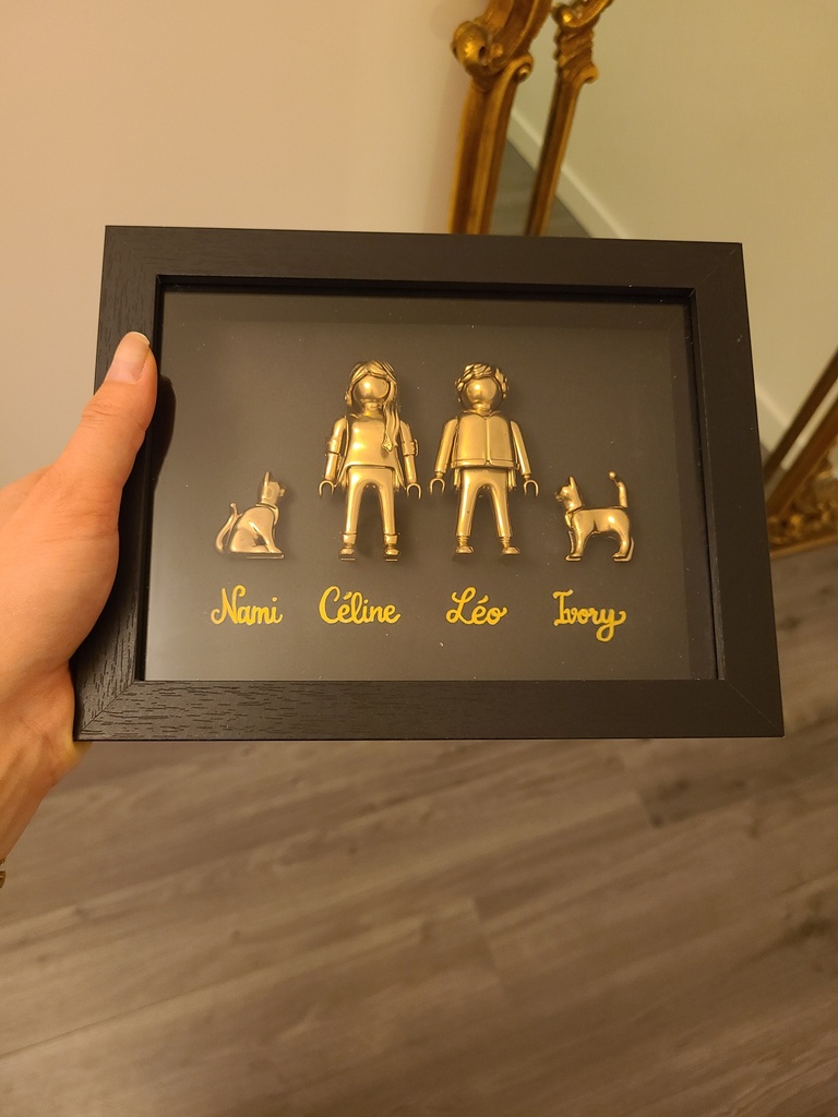 Cadre Playmobil