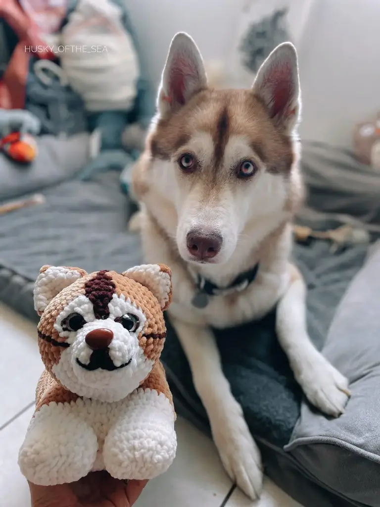 Ton Chien au Crochet