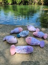 Jouet pour Chat poissons