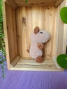 Peluche Capybara