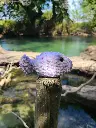 Poisson mauve