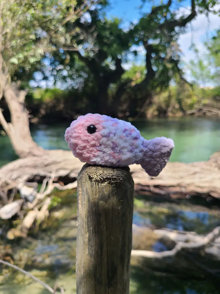 Poisson rose