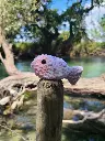 Poisson rose