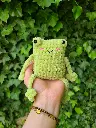 doudou grenouille