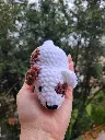 chien crochet