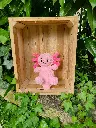 peluche axolotl