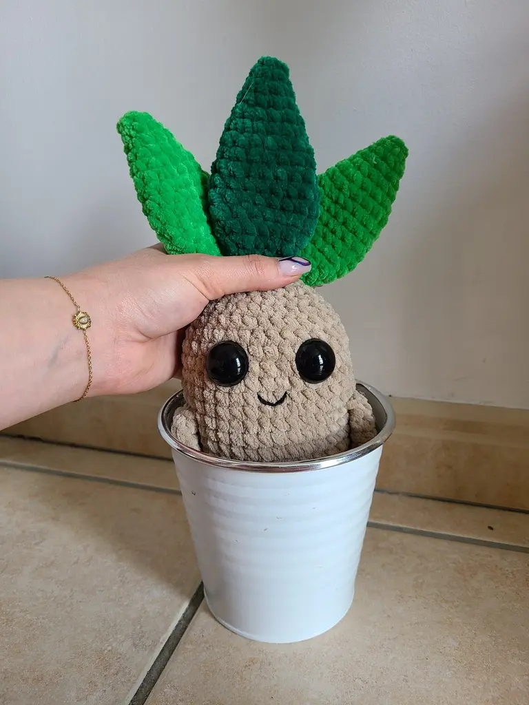 peluche mandragore