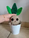 peluche mandragore