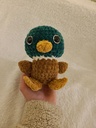 Canard