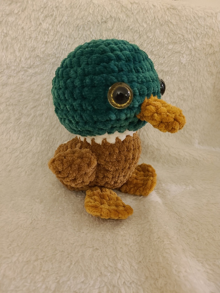Canard