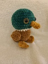 Canard