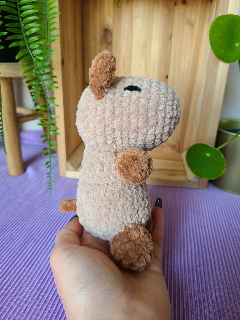 Capybara