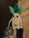 Mandragore
