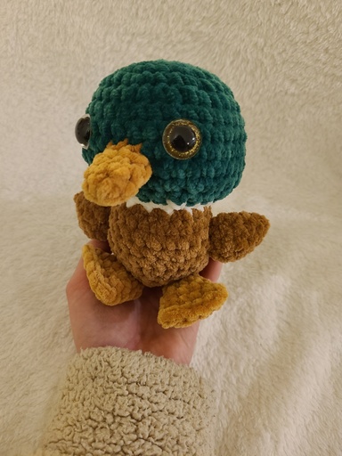 Canard